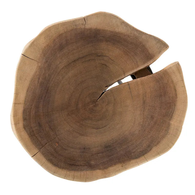 12" Round Live Edge Acacia Wood Accent End Table with Black Metal Legs