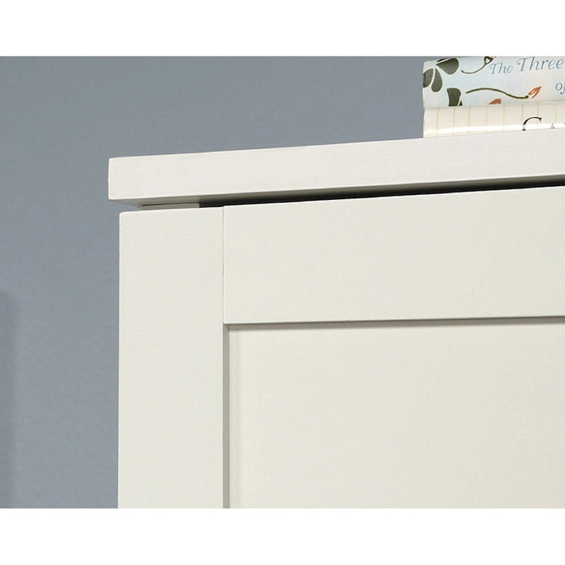Versatile Storage Cabinet with Framed Panel Doors